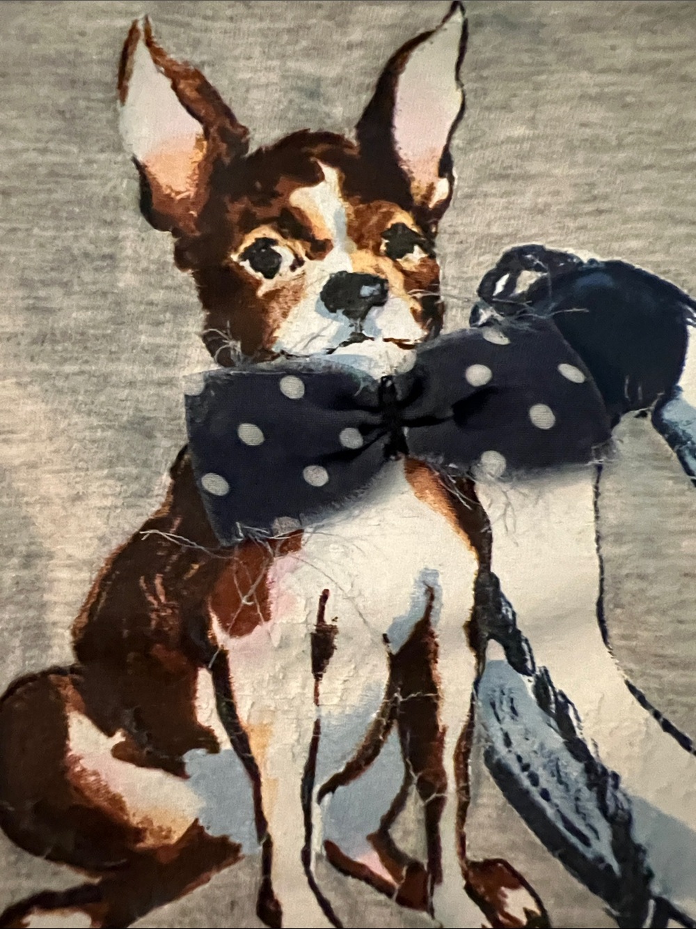 Abercrombie & Fitch T-Shirt - Medium - Dog with 3D Bowtie - Picture 3 of 4